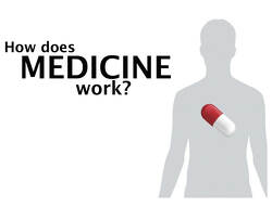 How Medicine Works