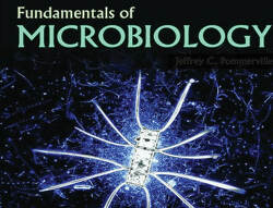 Microscopic Wonders of the World